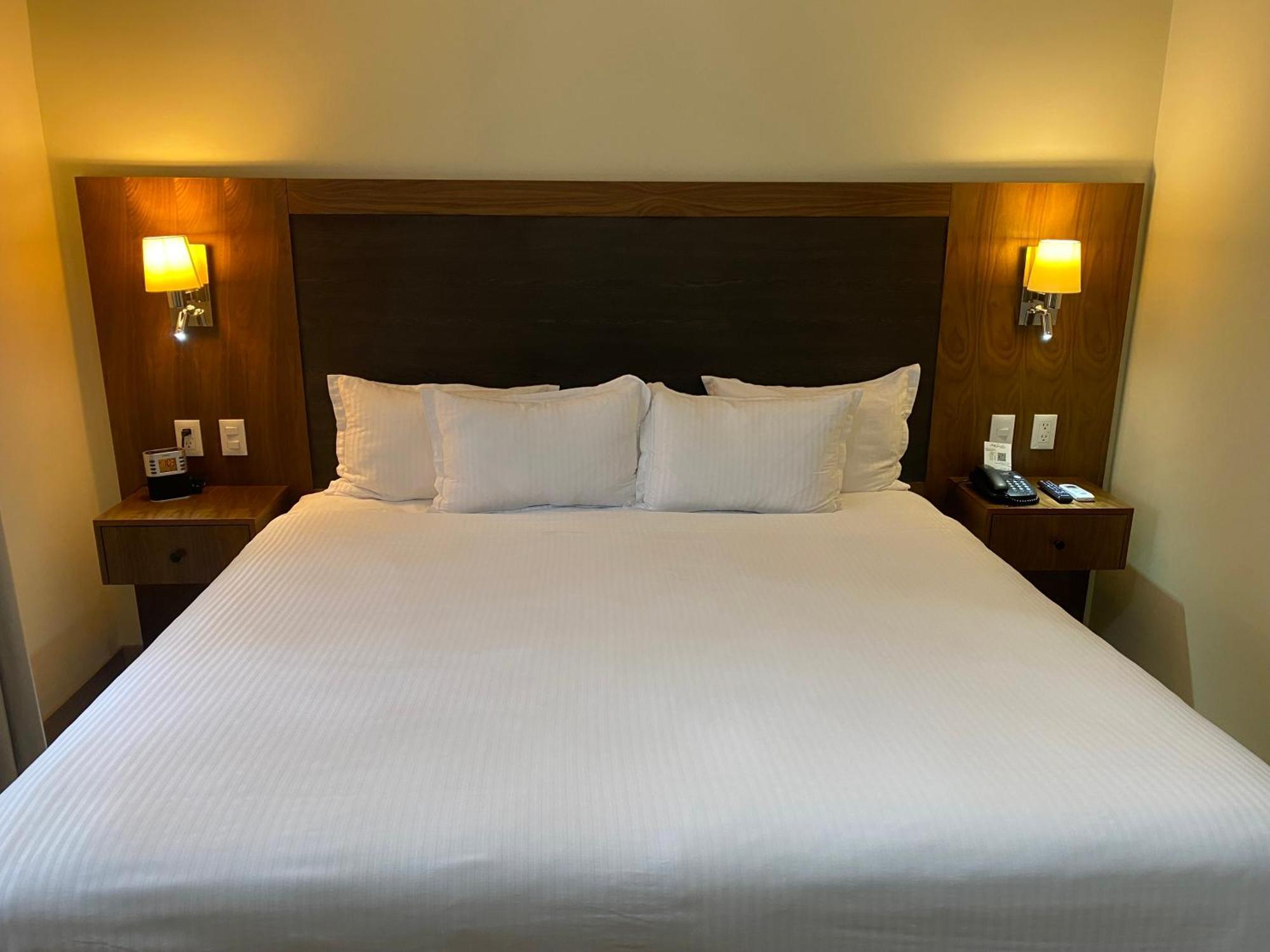 Wyndham Garden Mexico Reforma Hotel Eksteriør billede